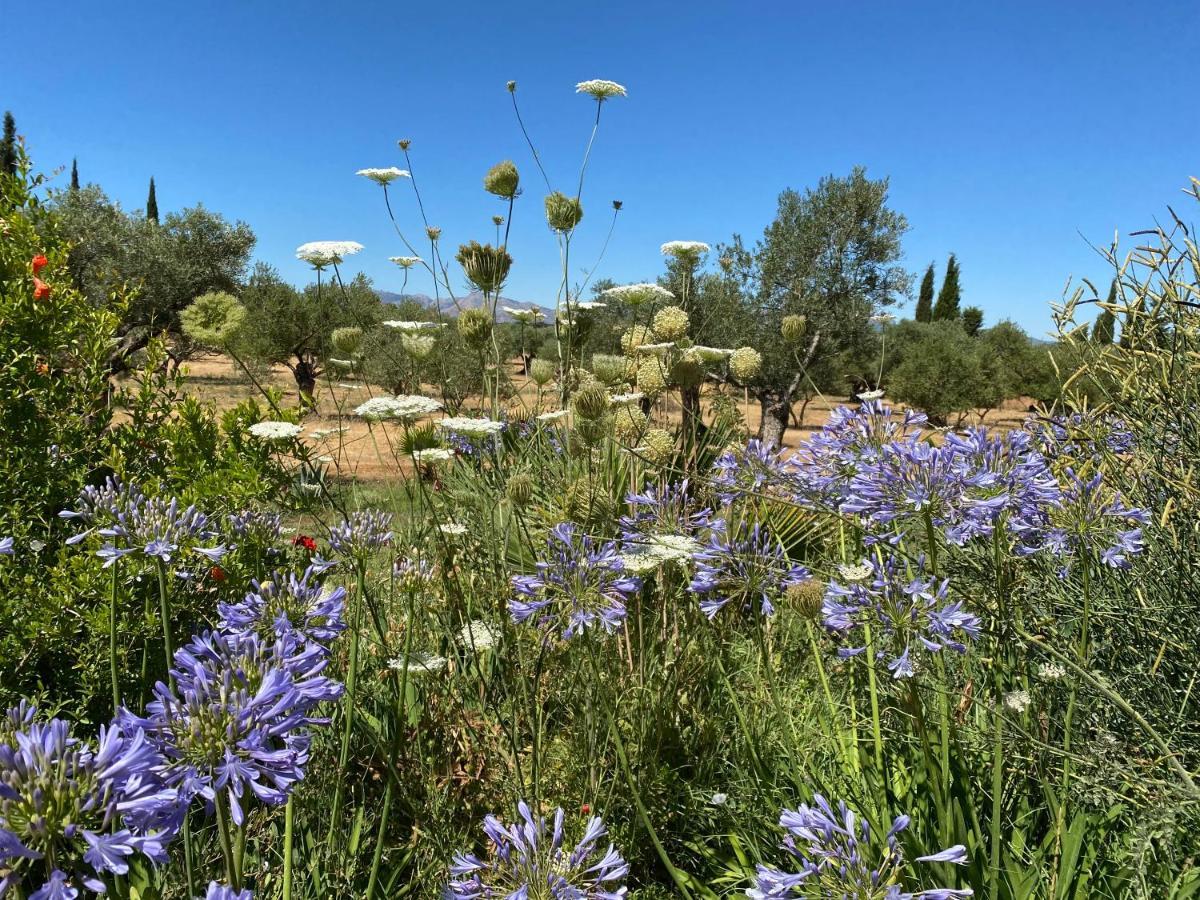 La Guzmana De Ronda Hotell Eksteriør bilde