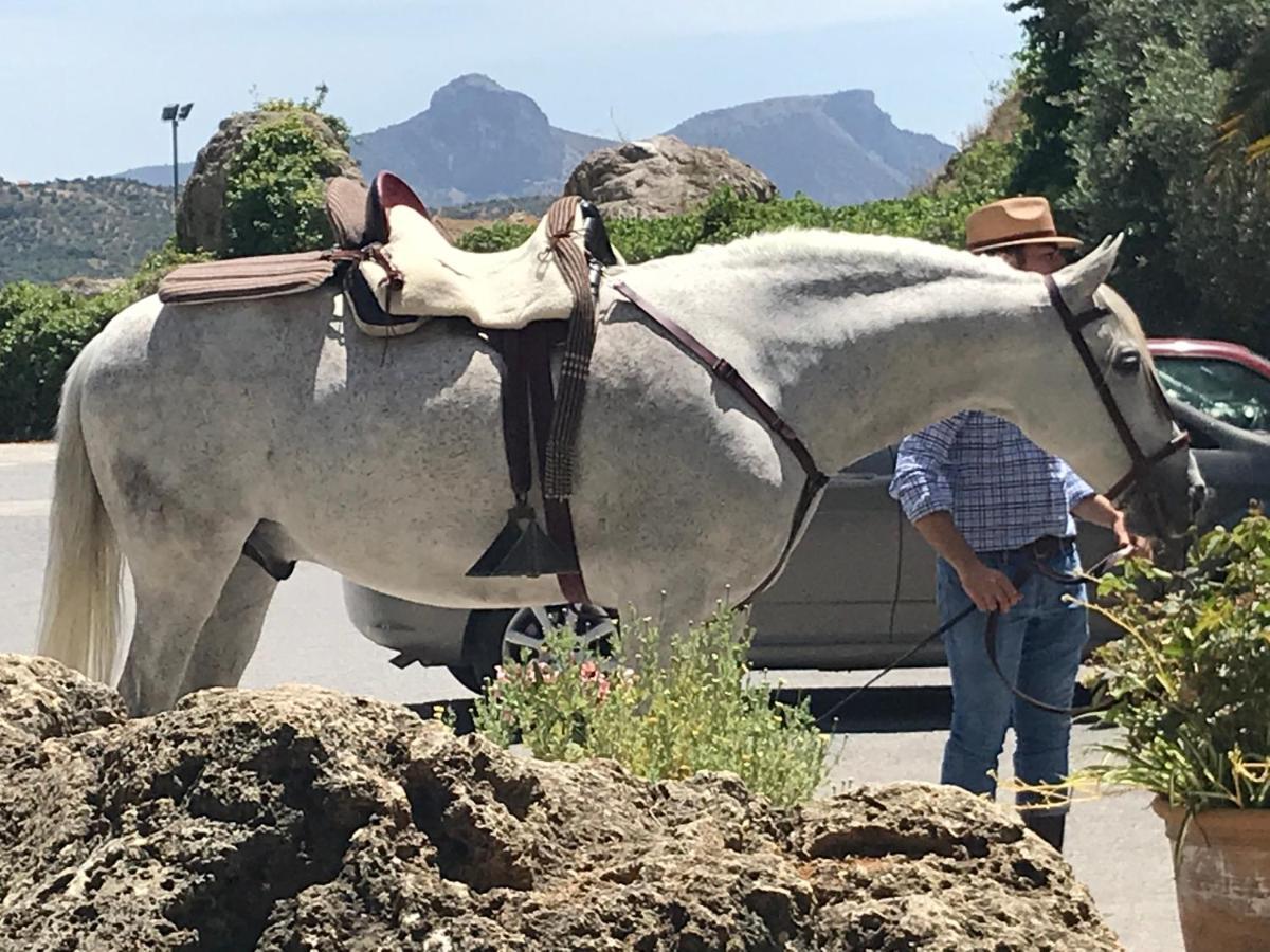 La Guzmana De Ronda Hotell Eksteriør bilde